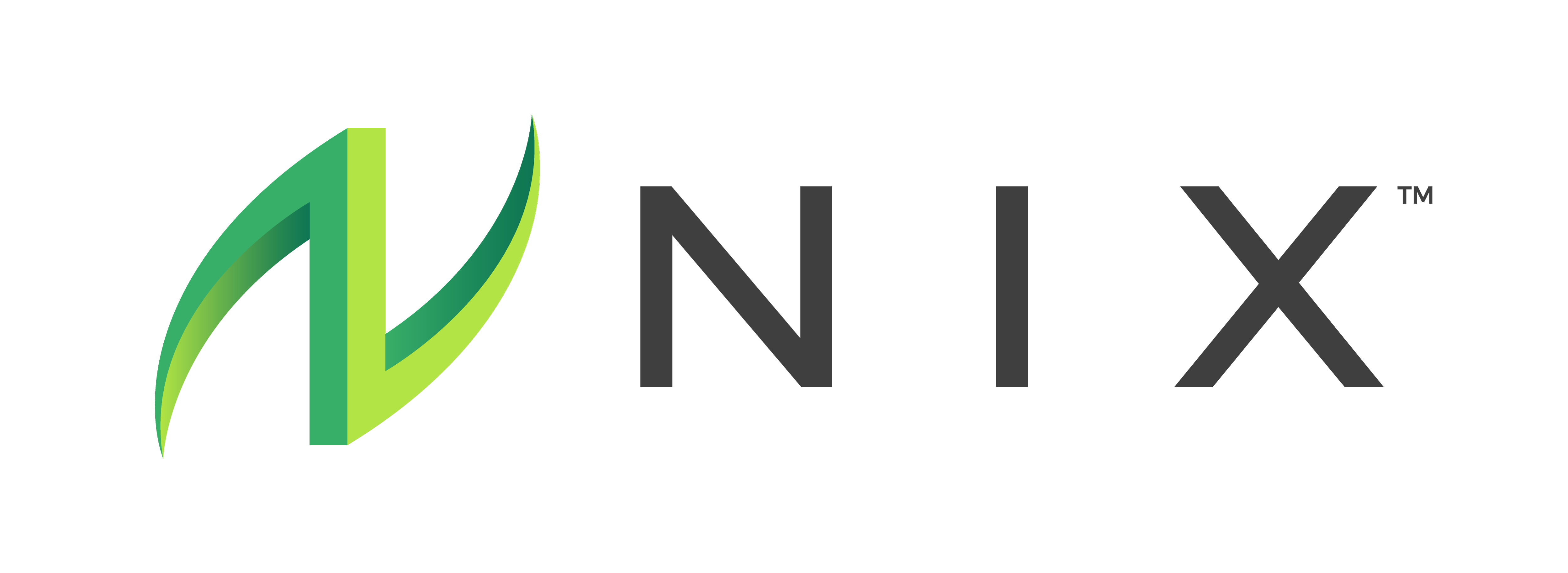 nix logo